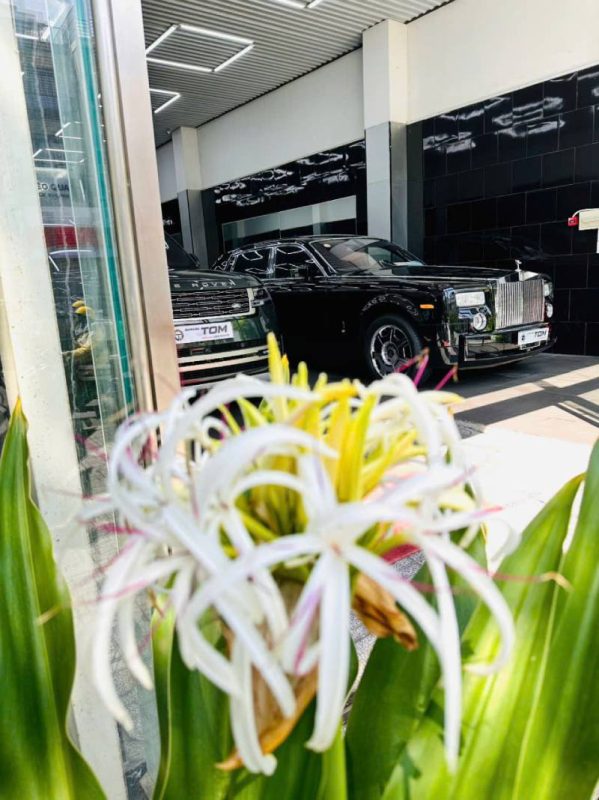 Rolls-Royce Phantom 7 bản ngắn, Phantom 7 bản dài và Range Rover 2022 xanh ngọc lục bảo tại Tom Autos Center.